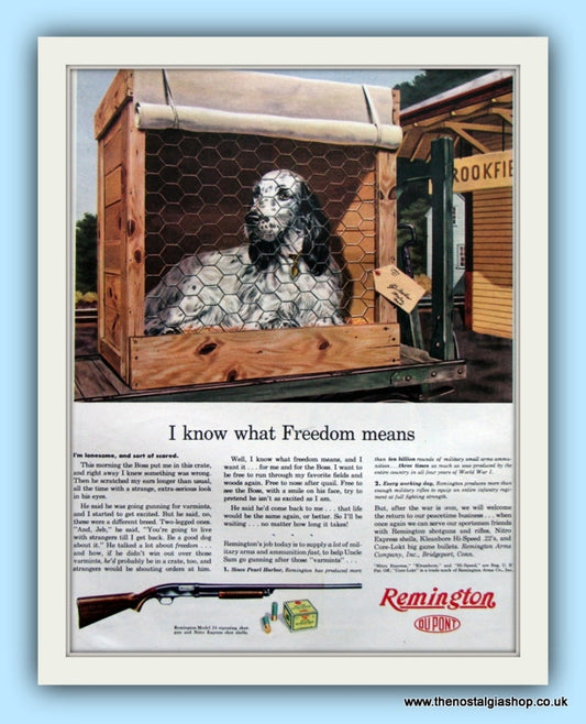 Remington Shotgun. Original Advert 1954 (ref AD8104)