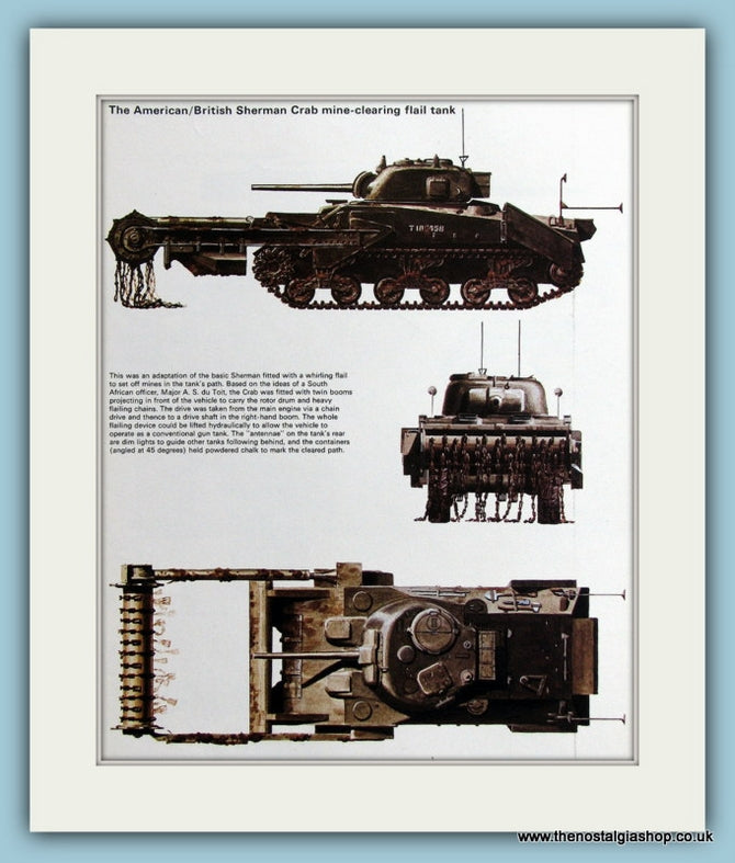 American/British Sherman Crab Mine-Clearing Flail Tank Print (ref PR495)