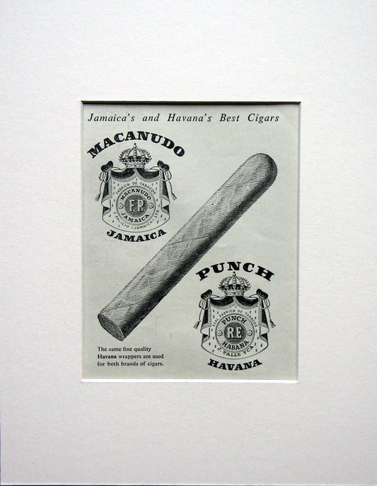 Macanudo and Punch Cigars. Original advert 1953 (ref AD1515)
