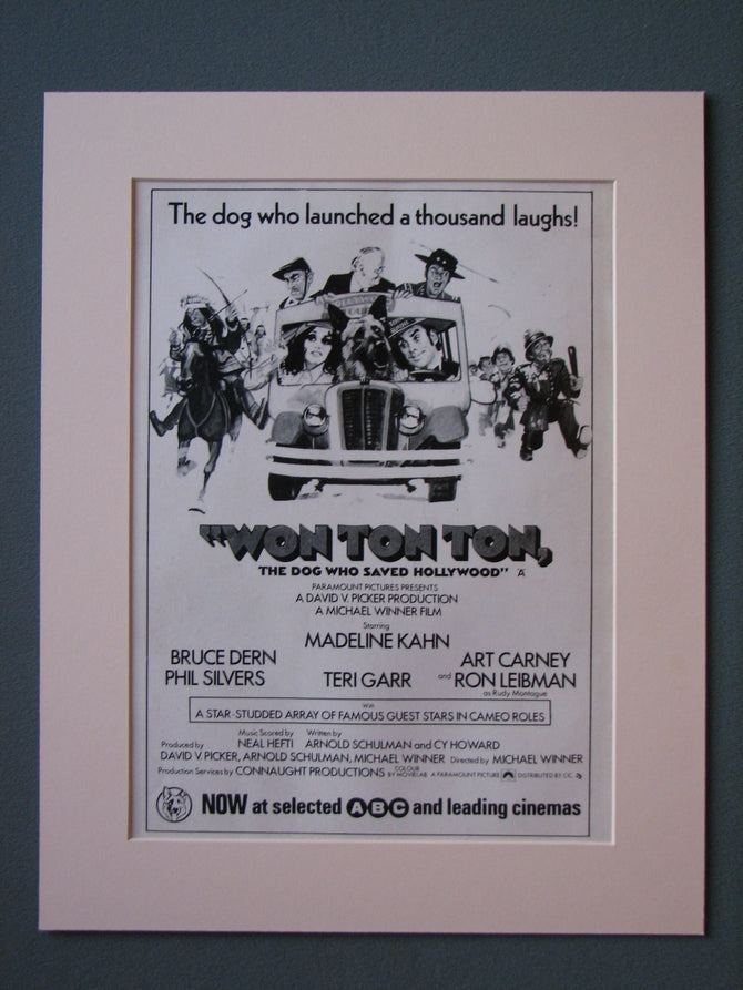 Won Ton Ton Original Advert 1976 (ref AD526)