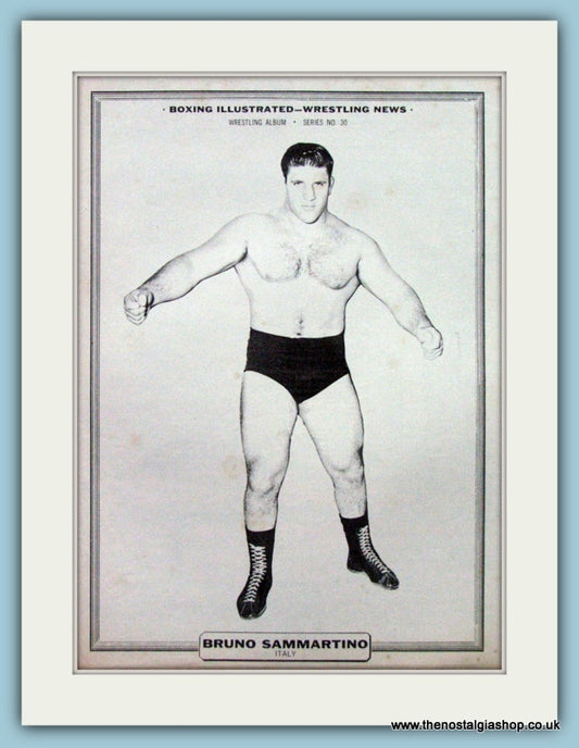 Bruno Sammartino. Vintage Wrestling Print 1961 (ref AD5031)