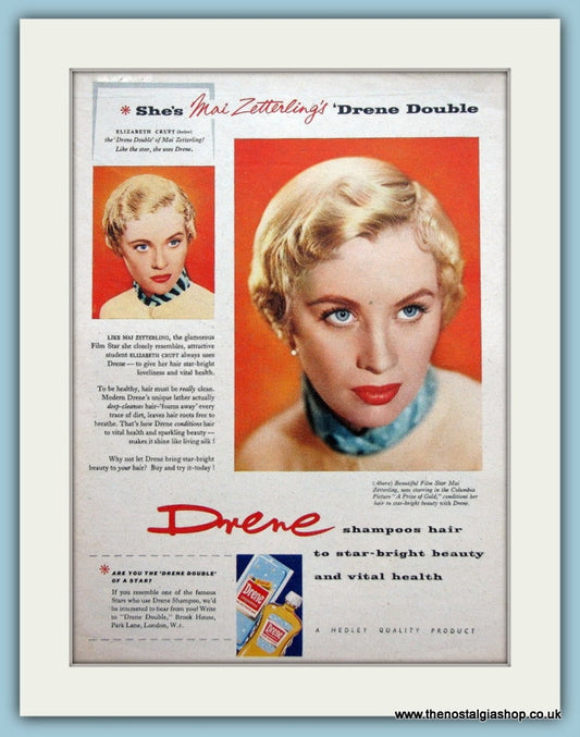 Drene Shampoo Featuring Mai Zetterling Original Advert 1955 (ref AD3629)