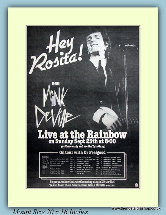 Hey Rosita See Mink Deville Original Advert 1977 (ref AD9125)