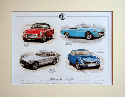 MGB & MGB GT - 1962 - 1980  Mounted Print