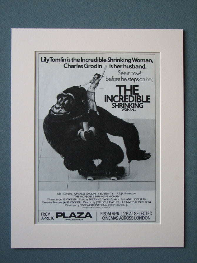 The Incredible Shrinking Woman 1981 Original Advert (ref AD443)
