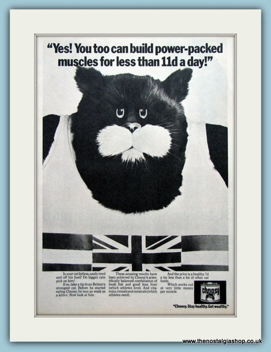 Choosy Cat Food Original Advert 1970 (ref AD3660)