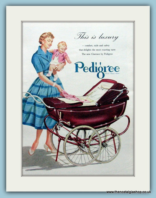 Pedigree Clarence Pram Original Advert 1955 (ref AD4718)