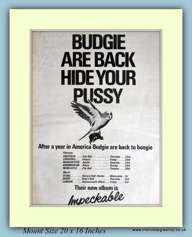 Budgie Impeckable Original Advert 1978 (ref AD9086)