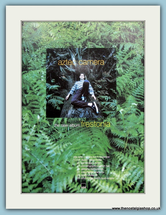Aztec Camera Frestonia 1995 Original Advert (ref AD3069)