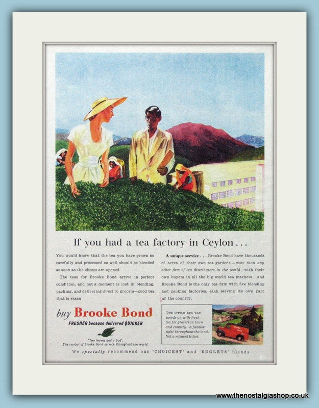 Brooke Bond Tea Original Advert 1955 (ref AD4318)