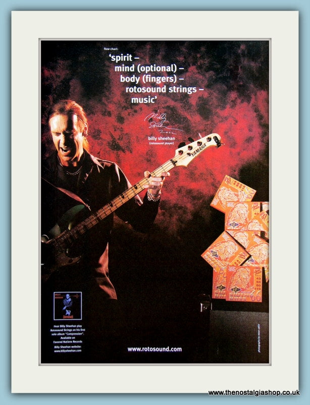 Rotosound Guitar Strings Featuring Billy Sheehan Original Advert 2002 (ref AD2346)