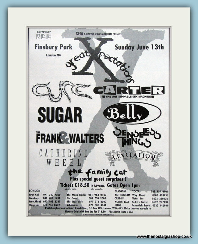 Great Xpectations Finsbury Park 1993 Festival Advert (ref AD3348)