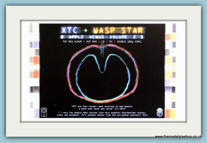 XTC. Wasp Star Original Advert 2000 (ref AD1948)