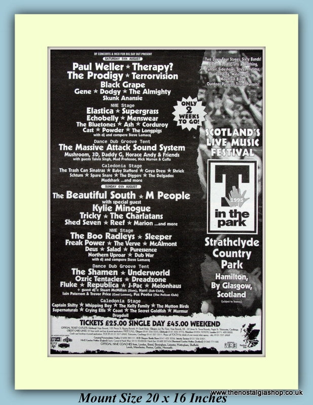 T In The Park Strathclyde Country Park 1995 Original Advert (ref AD9027)