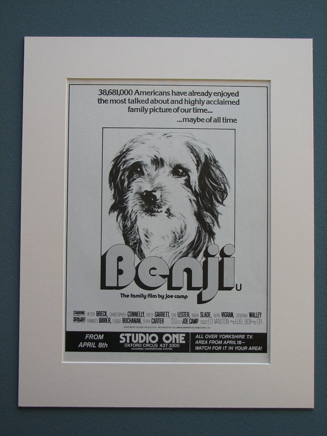 Benji 1976 Original advert (ref AD706)