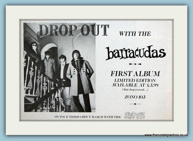 Barracudas, Drop Out. Original Advert 1981 (ref AD1957)