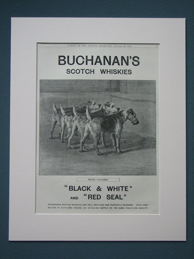 Buchanan's Scotch Whiskies (Welsh fusiliers) 1915 Original advert (ref AD814)