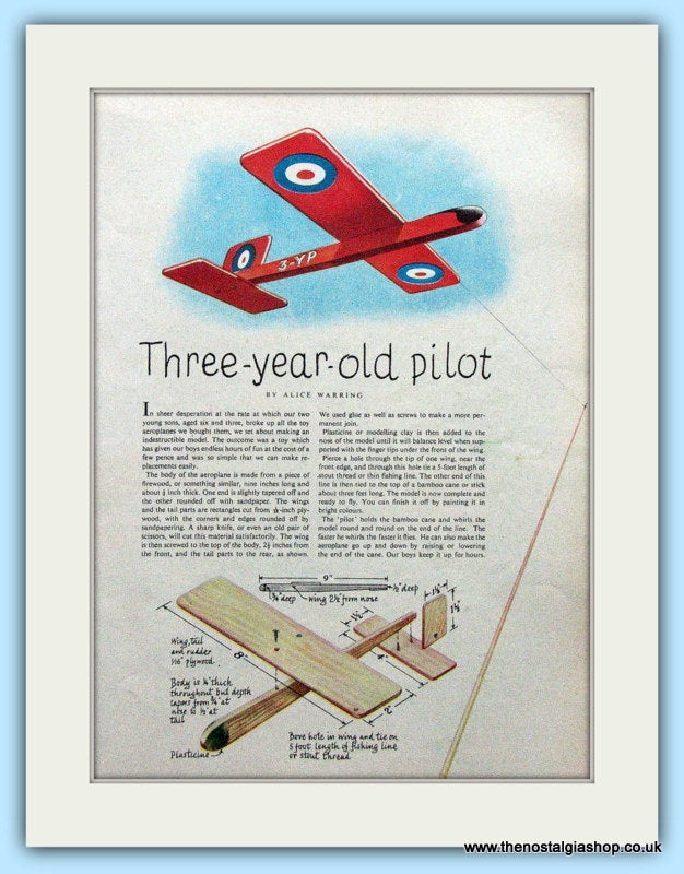 Pilot Model Aeroplane By Alice Warring Original Advert 1951 (ref AD4706)