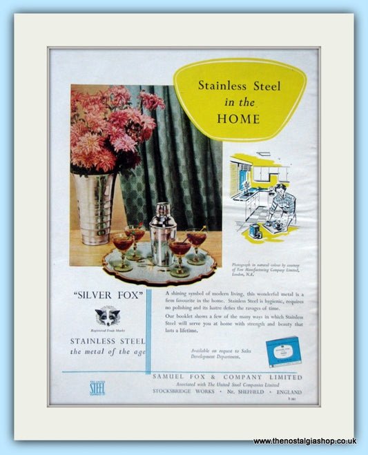 Silver Fox Stainless Steel. Original Advert 1955 (ref AD4850)