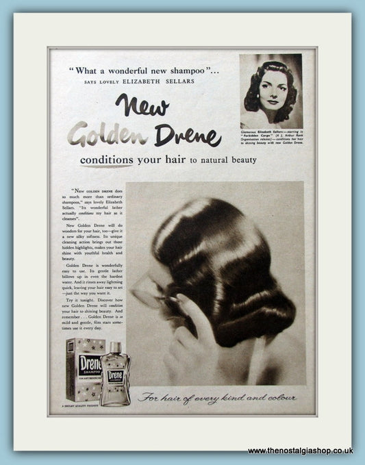 Drene Shampoo Featuring Elizabeth Sellars Original Advert 1954 (ref AD4331)