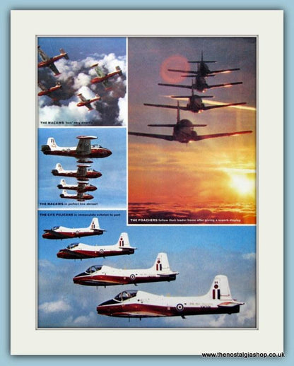R.A.F Aerobatic Teams Set Of 2 Original Adverts 1973 (ref AD6306)