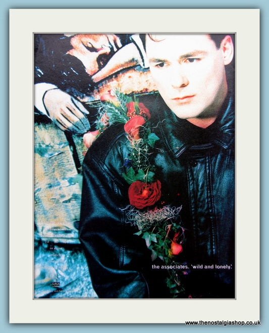 The Associates Wild And Lonely Billy Mackenzie 1990 Original Advert (ref AD3060)