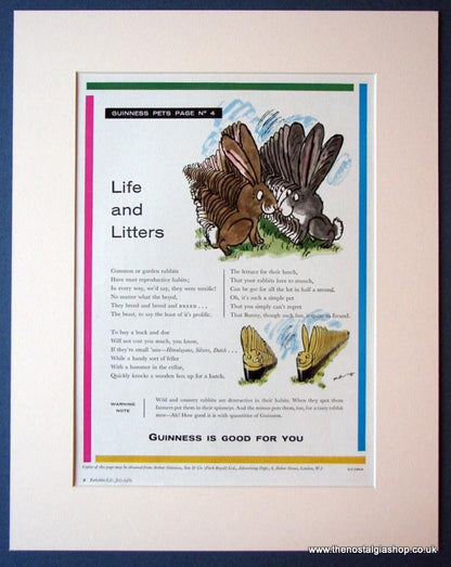 Guinness. Set of 2 Original adverts 1961 (ref AD1114)