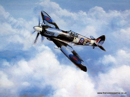 Spitfire Mk XIV 'Final Encore'  Aircraft print (ref N133)
