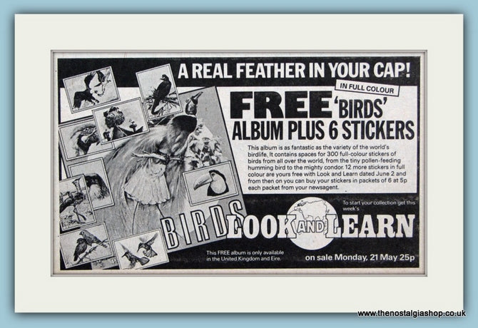Look and Learn Free Birds Album And Stickers Original Advert 1979 (ref AD6401)
