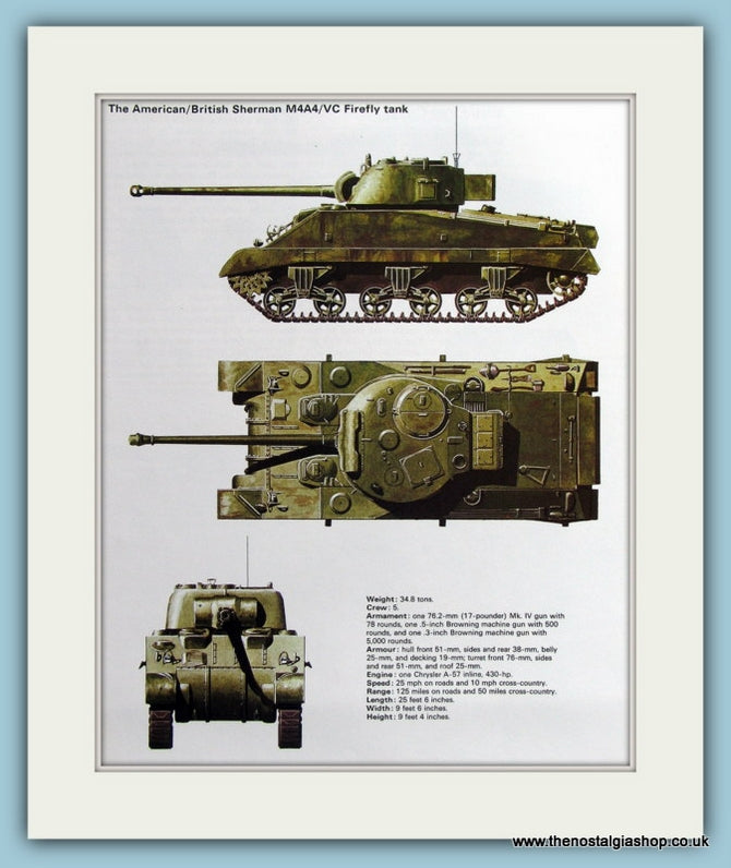 American/British Sherman M4A4/VC Firefly Tank Print (ref PR 503)