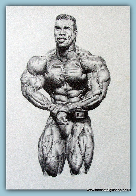 Bodybuilding Pencil Drawing