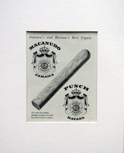 Macanudo & Trovador Cigars 2 x Original adverts 1953 (ref AD1547)