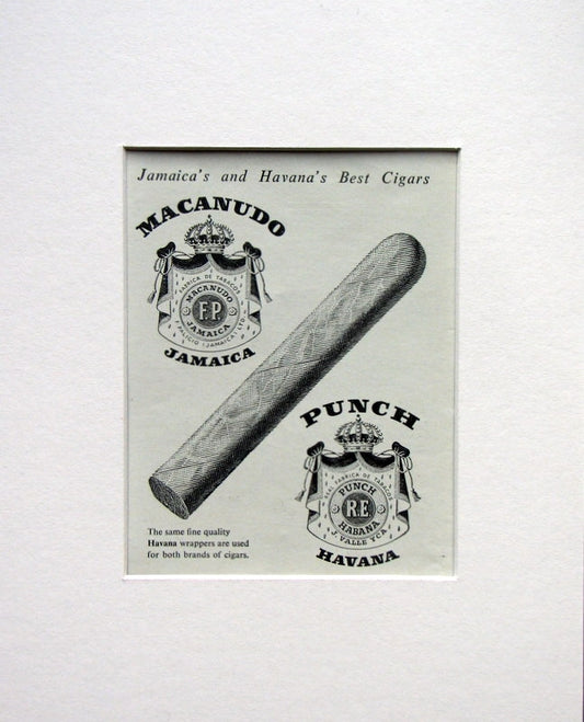 Macanudo & Trovador Cigars 2 x Original adverts 1953 (ref AD1547)