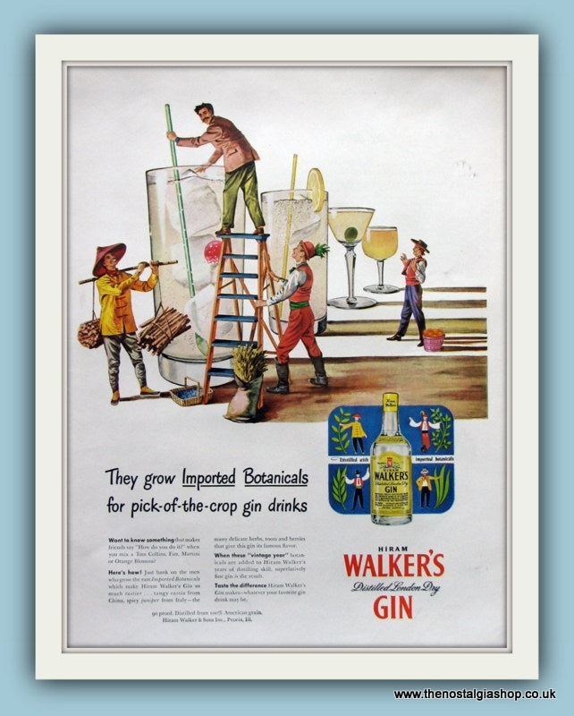 Walker's Gin. Original Advert 1950s (ref AD8186)