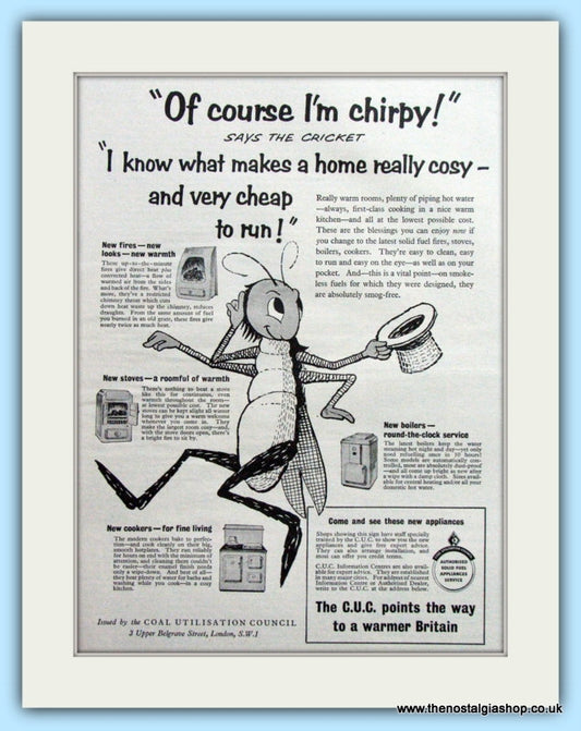 Coal Utilisation Council Fires,Cookers,Boilers Original Advert 1955 (ref AD4781)