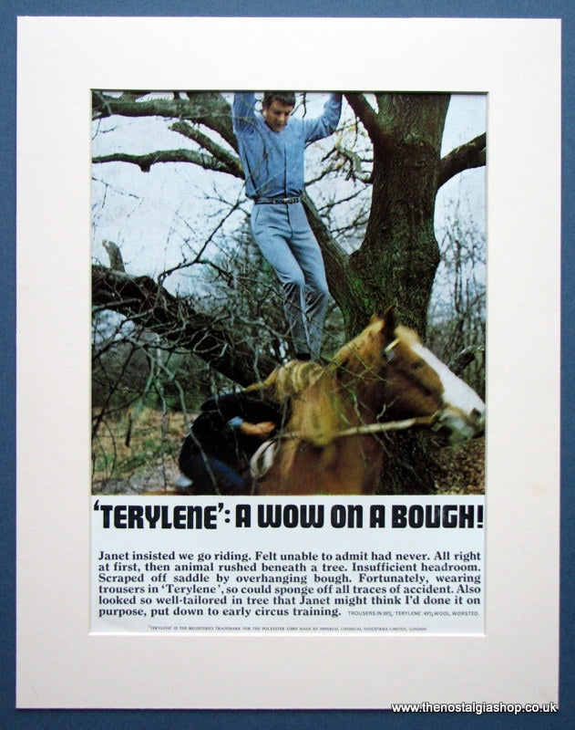 Terylene 1966 Original Advert (ref AD987)