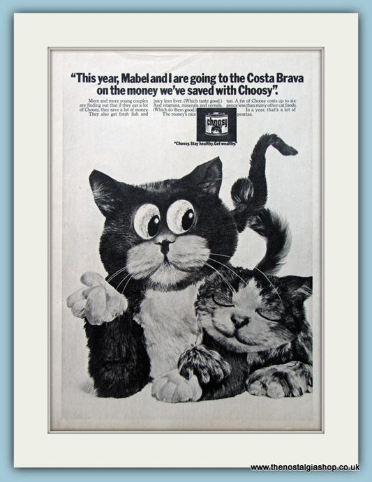 Choosy Cat Food Original Advert 1970 (ref AD4585)