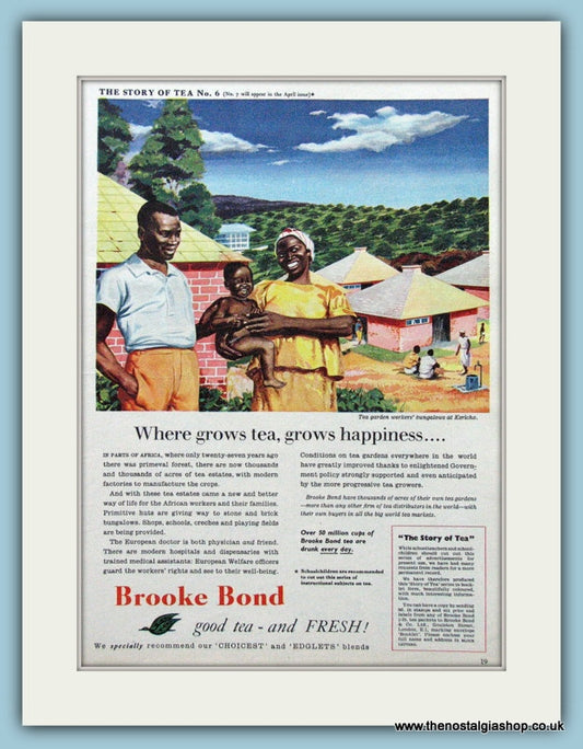 Brooke Bond Tea Original Advert 1955 (ref AD4300)