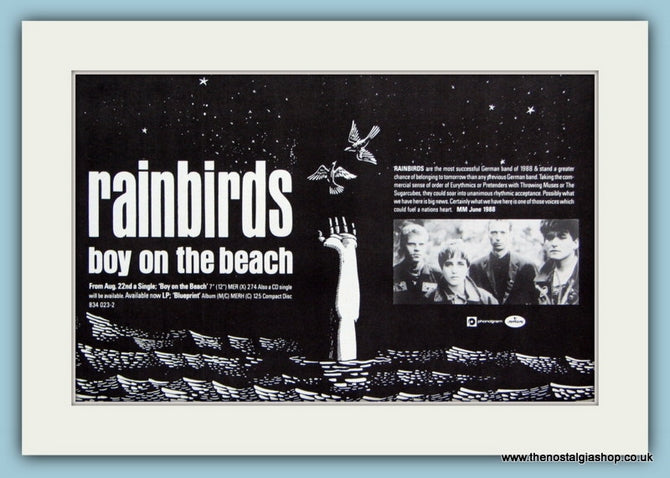 Rainbirds Original Advert 1988 (ref AD1889)