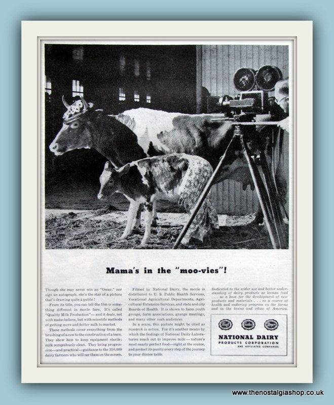National Dairy Products Corporation. Original Advert 1946 (ref AD8086)