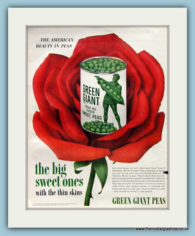Green Giant Peas Original Advert 1954 (ref AD8223)