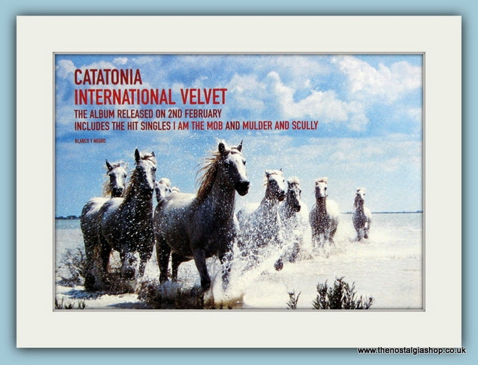 Catatonia International Velvet Original Advert 1998 (ref AD1869)