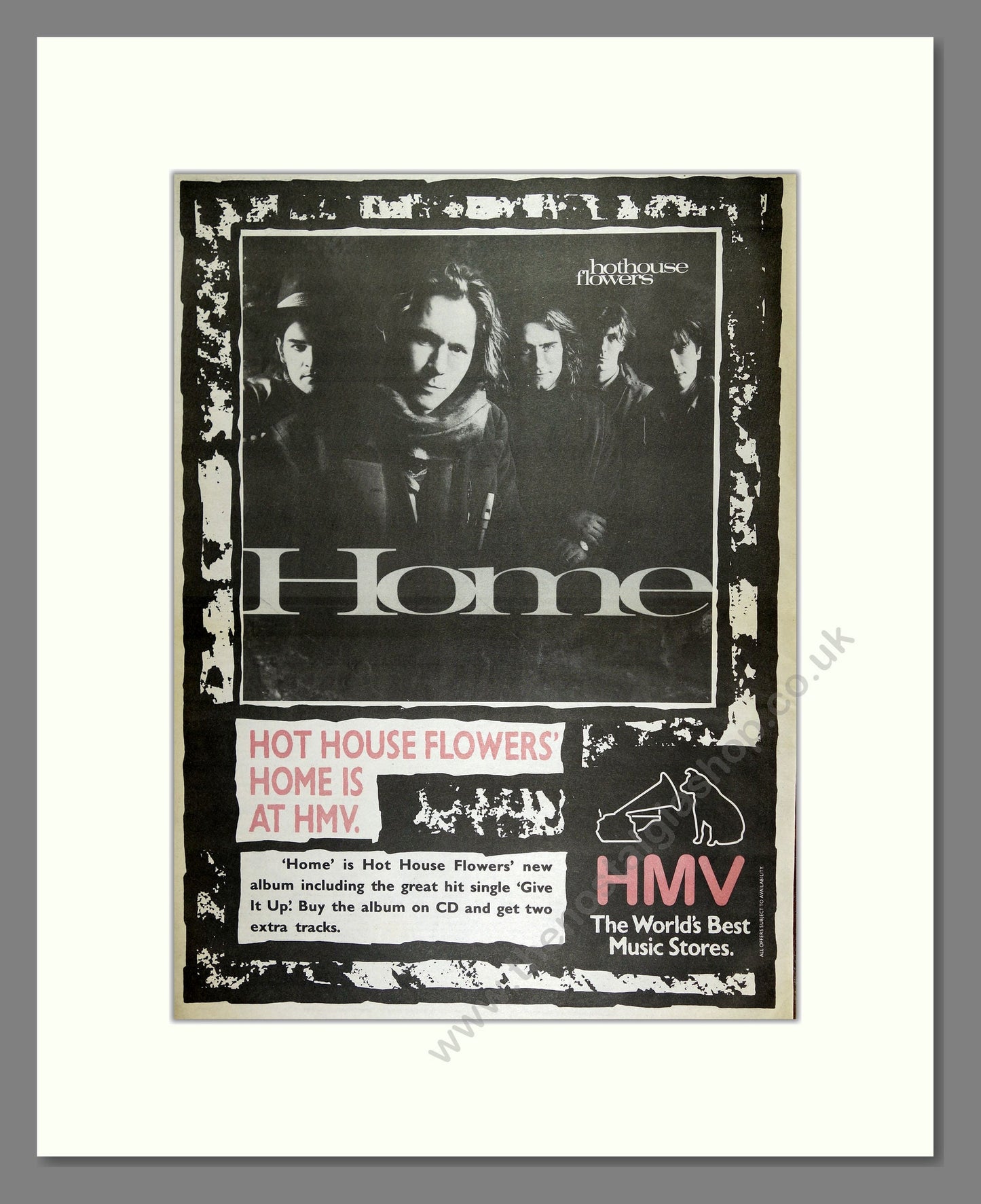 Hothouse Flowers - Home. Vintage Advert 1990 (ref AD16402)