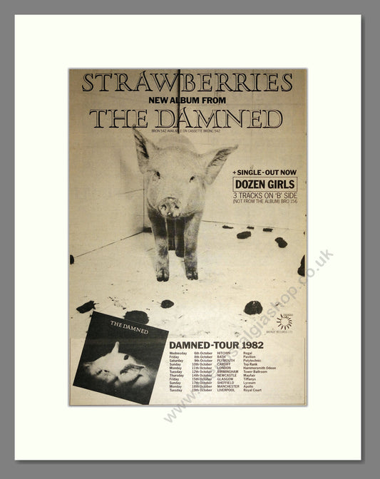 Damned (The) - Strawberries UK Tour. Vintage Advert 1982 (ref AD17204)