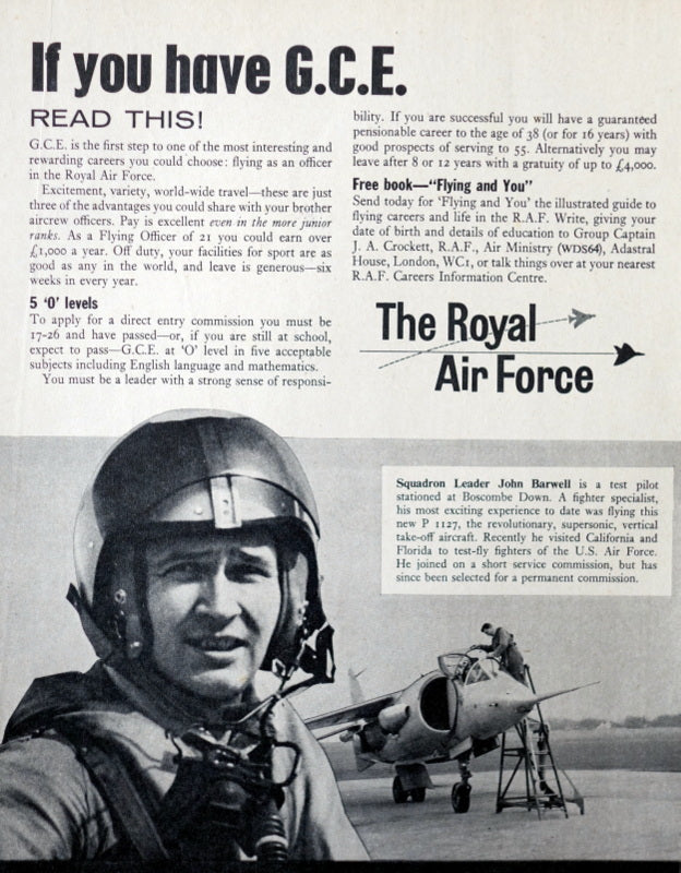 Jelena (Private set of adverts to view)