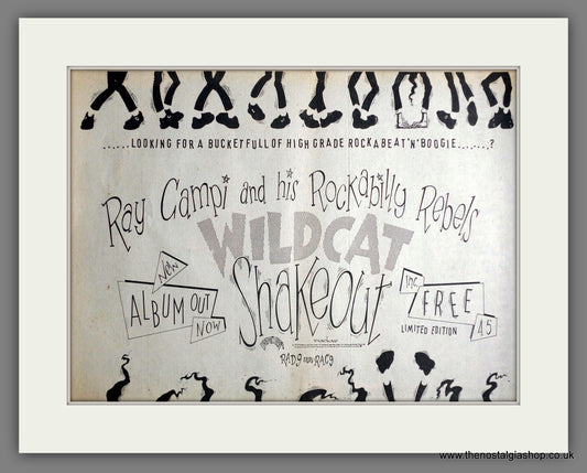 Ray Campi. Wildcat Shakeout. Vintage Advert 1979 (ref AD14145)