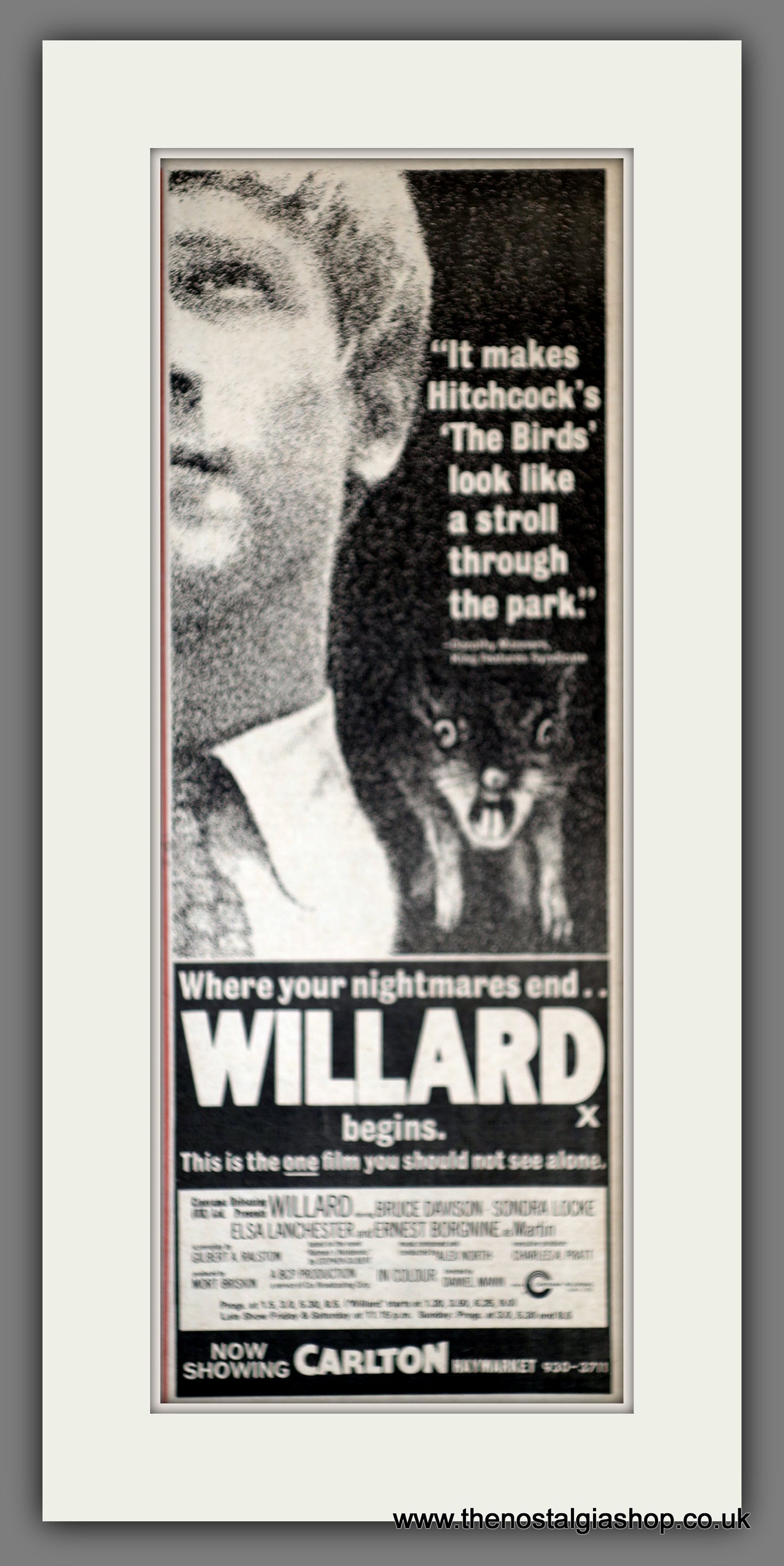Willard. Vintage Advert 1971  (ref AD200323)