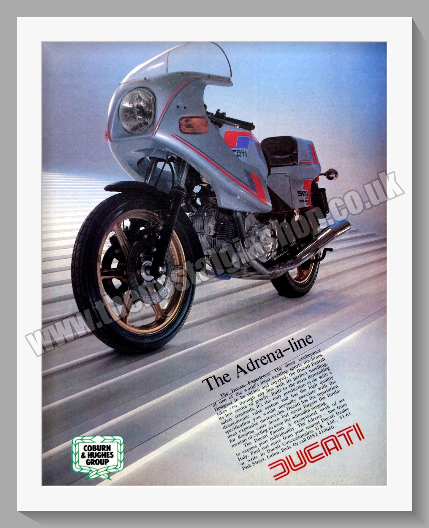 Ducati Pantah Motorcycle. Original Advert 1981 (ref AD56784)
