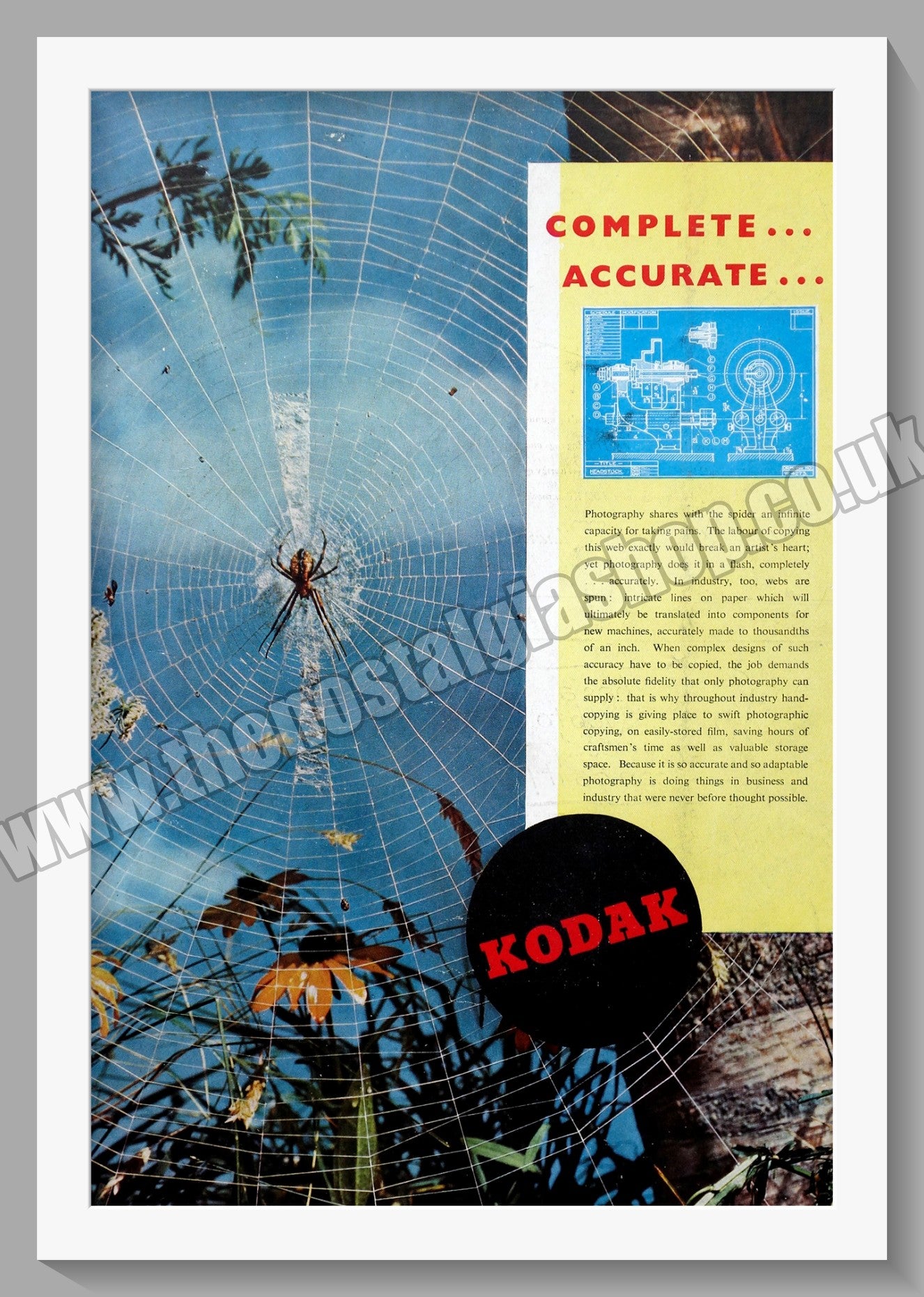Kodak Film. Original Advert 1948 (ref AD300645)