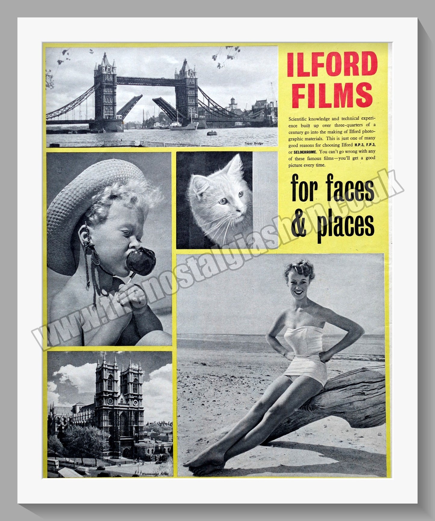 Ilford Films. Original Advert 1953 (ref AD300674)